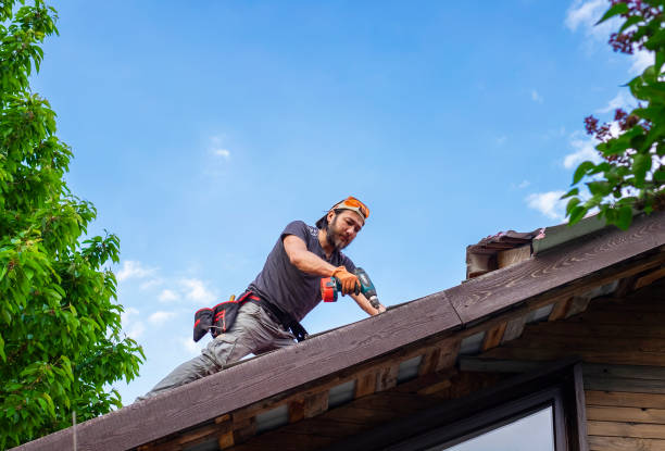 Professional  Roofing repair and installation in Ridgely, TN